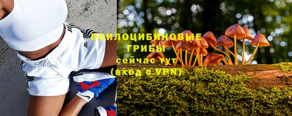 эйфоретик Белоозёрский