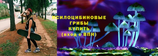 не бодяженный Белокуриха