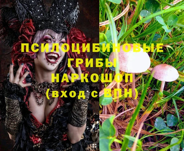 марихуана Беломорск